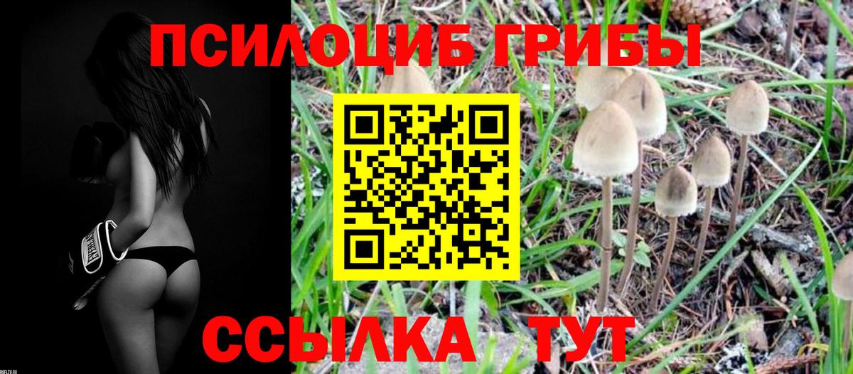 Псилоцибиновые грибы мицелий  Галлюциногенные грибы Psilocybe  Вход с VPN  Малоярославец 